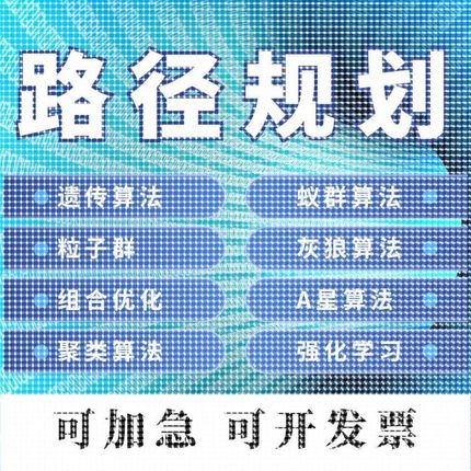 matlab路径规划遗传蚁群蜂群狼群算法代编python强化学习组合优化