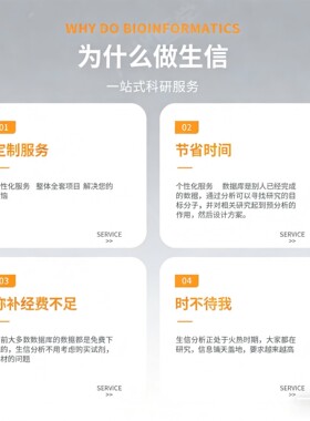 模拟计算DFT计算MS/VASP/高斯量子化学/晶体结构/能带/反应路径