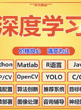 cnn卷积神经网络python机器强化学习jupyter代做yolo图像处理识别