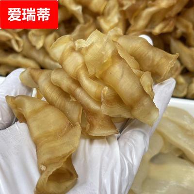 网红爆款鱼胶源头，凤尾胶老胶大量现货价低，适合做鲜炖牛奶花胶