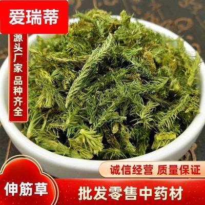 伸筋草伸筋骨草粉农产品 粉舒筋草 石松草大伸筋草狮子尾泡茶泡酒