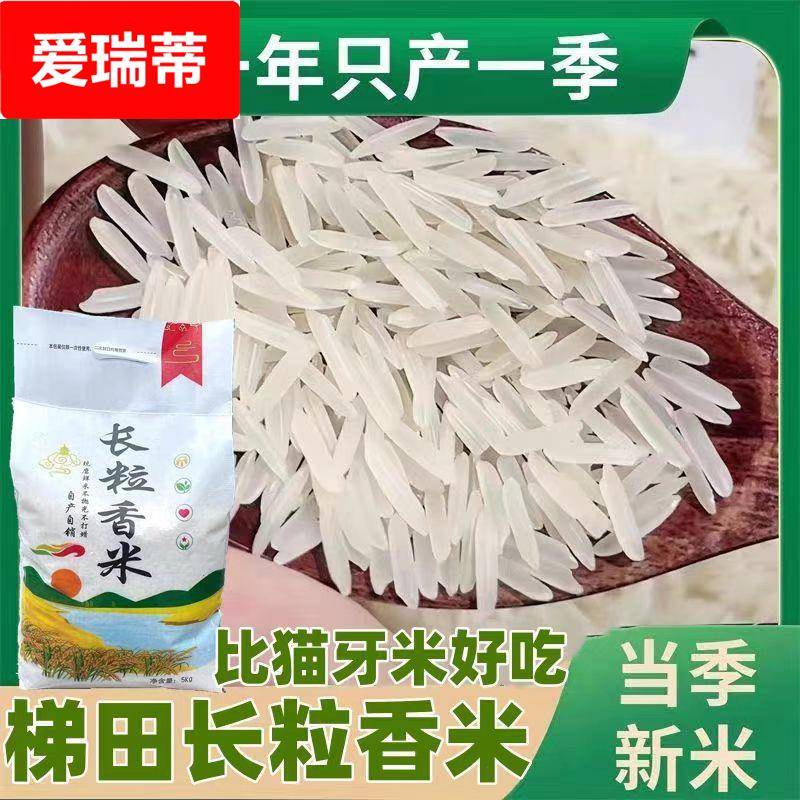 新米贵州梯田长粒香米晚稻农家米自种软米长粒香米细粒长米10斤