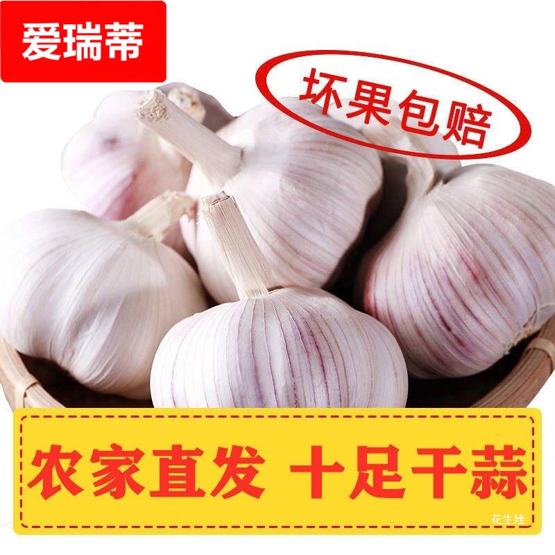 大蒜头5斤干大蒜农家干蒜10斤新鲜大蒜干大蒜1斤低价非独头蒜