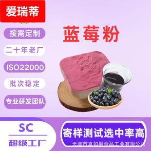 SC厂家水果粉可食用原料易速溶烘焙果汁粉压片固体饮料蓝莓粉