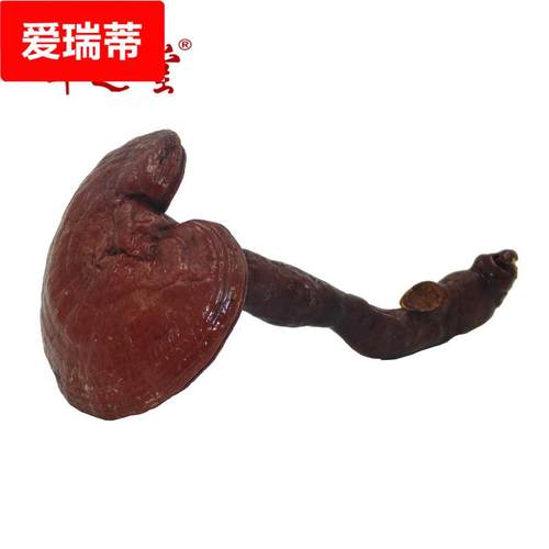 安徽大别山金寨产地椴木赤红灵芝个500克仙草带柄赤芝