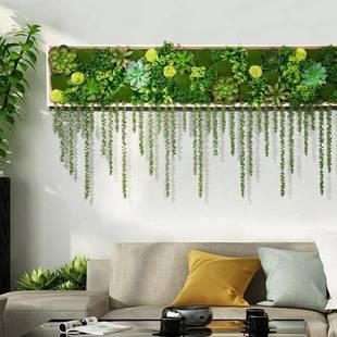 仿真肉垂挂植物壁挂墙面居装饰家绿植画绿植垂髫墙饰装客厅餐厅多