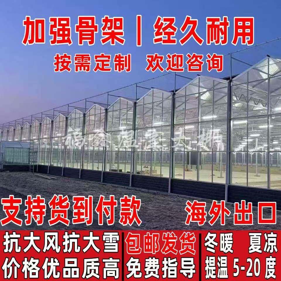 温大钢XDO管骨架定制椭圆管养殖大室全套蔬菜大棚棚农业钢棚架种