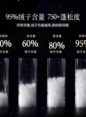 水星被集团百丽被丝家纺羽绒冬类阻YEI螨鹅绒被95白鹅绒被A子羽绒