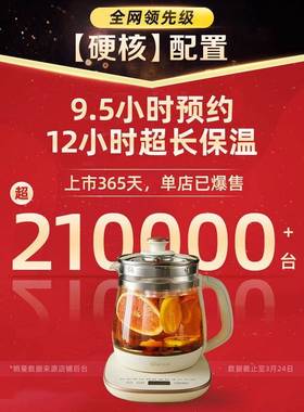 德国养生壶家用公多功能2型办室一人花小茶壶024YSH-D15Y新款恒温