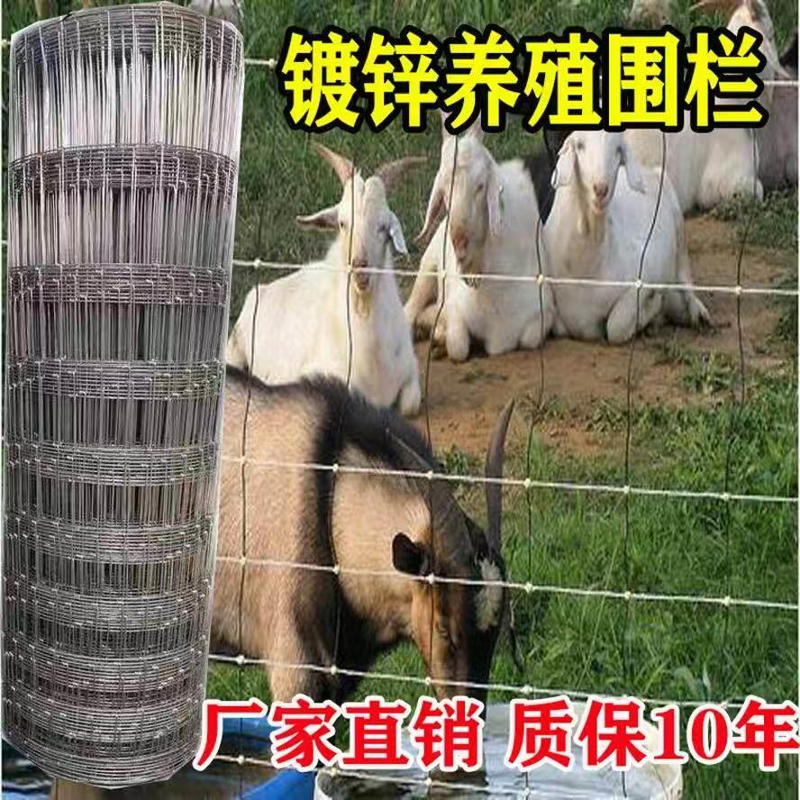 防锈铁丝养殖网热锌牛栏网拦牛网羊防镀护网圈地钢丝网果栏园围网