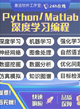 Python/Matlab程序代编机器深度强化知识图谱神经网络图像处理