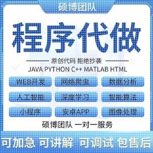 java代码编写Python代编程软件开发计算机小程序C语言前端接单