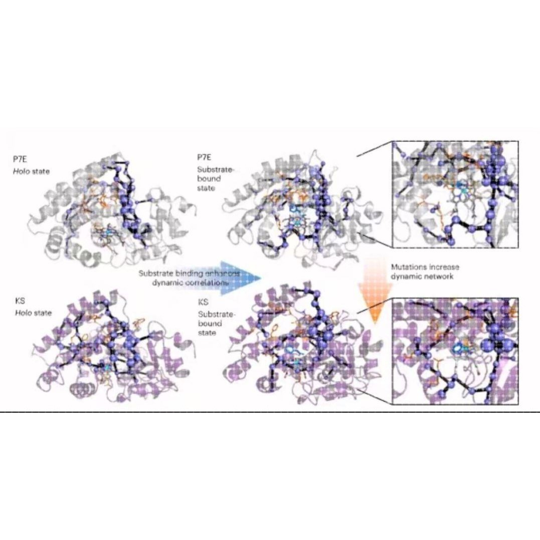 分子对接模拟定制教学gromacs做