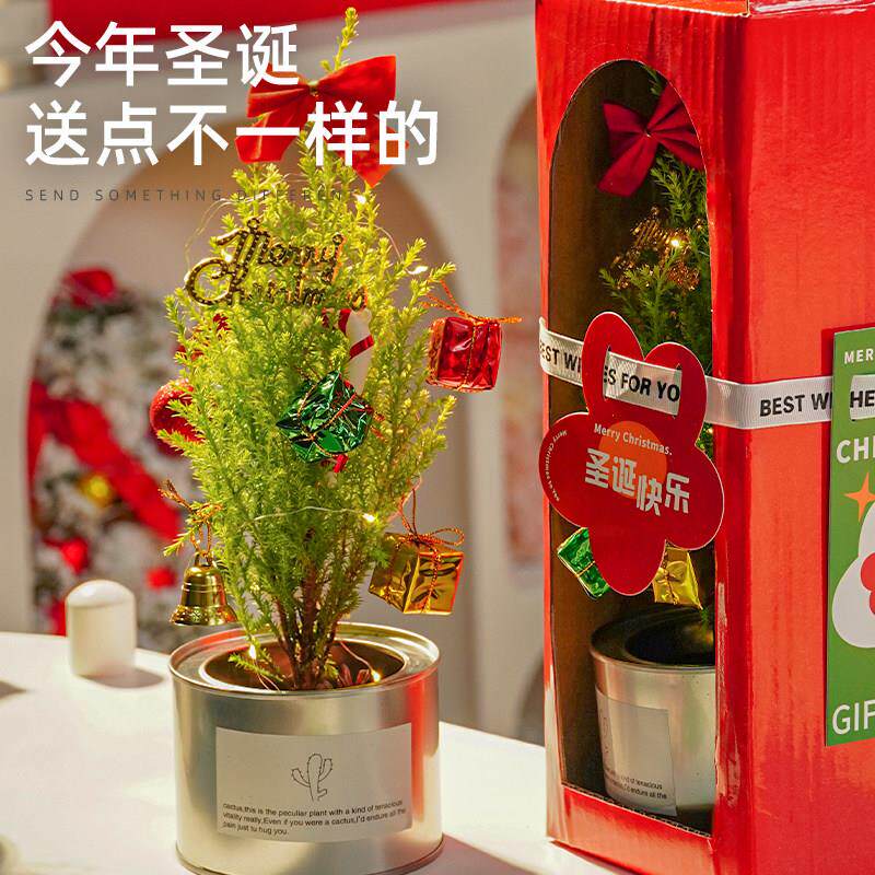 诞圣节闺礼物送女生男树生朋友文健蜜创意装饰实用儿童小的圣诞平