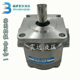 K1P9R11A K1P10R11A K1P7R11A K1P6R11A NIHON 齿轮泵