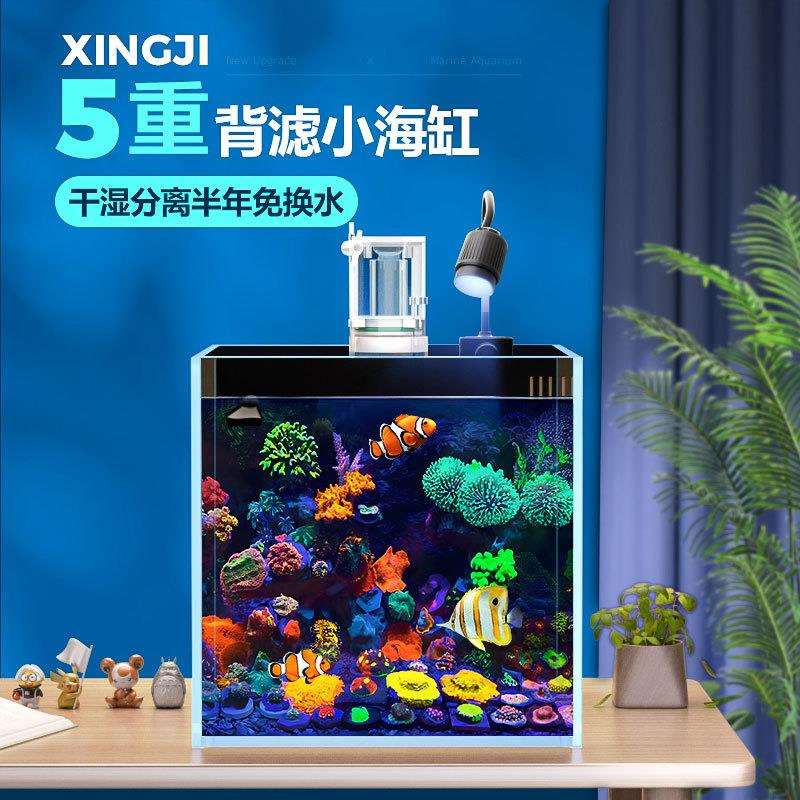 背滤海水缸全套设备小型客厅桌面珊瑚造景方缸超白玻璃小丑鱼海缸
