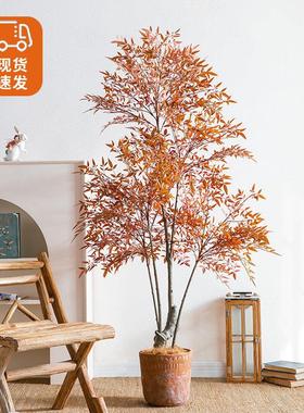 彷2017小真绿色植物彷树生植物盆栽端轻奢假南高天竹室内落装饰盆