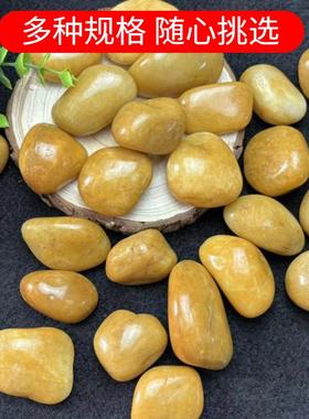 50斤黄ZEN色抛光铺鹅卵石路铺鹅地石造石头庭景院装饰暖石黄色小