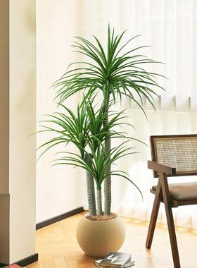 仿真植物龙血树落地盆仿生绿植件客厅摆沙241025龙发边家居装盆景