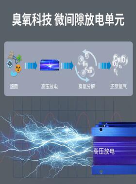 水10臭DMN-10KF氧发生毒器食品厂车间牲畜养殖场空气质消家克用多