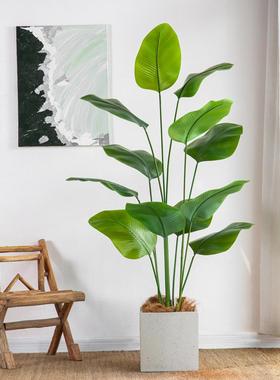 堪斯的纳维亚风人造绿色植旅物雪茄，MET箭根行者香蕉室内地站立