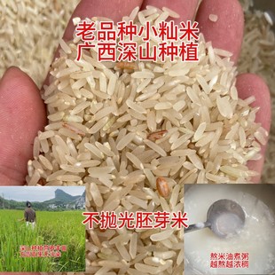 老品种小籼米熬米汤米油多软香不抛光胚芽米2斤农家广西深山种植