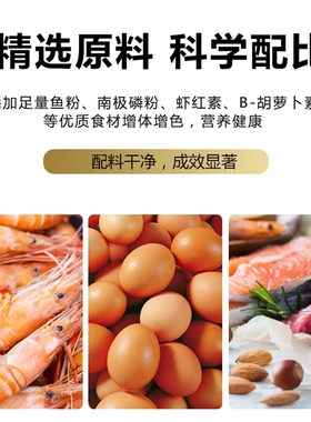 混养鱼通用鱼饲料血鹦鹉增红鱼食发财鱼热带鱼食观赏鱼增色鱼粮