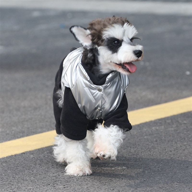 狗狗衣服冬季银色夹棉马甲雪纳瑞狗宠物服装/雨衣