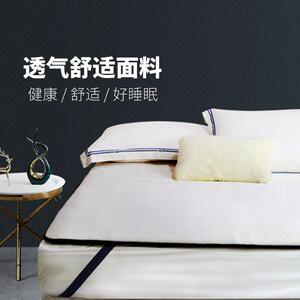 黛富妮床垫软垫0.9m1.2m薄款垫被褥子双人单人床1.5m1.8床垫