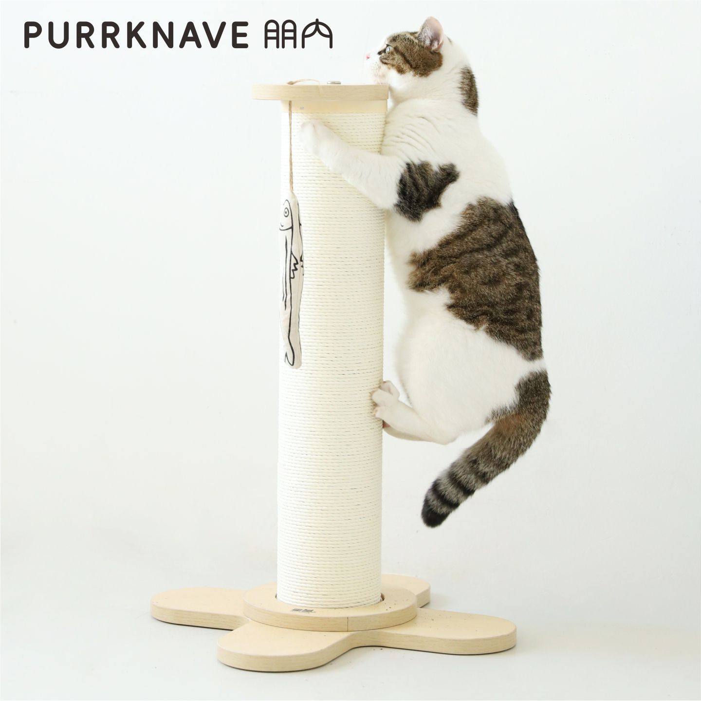 PurrKnave朋内猫抓柱立式猫抓板耐磨耐抓猫爬柱猫抓架小型猫爬架