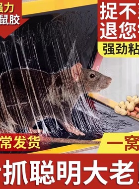 强力粘鼠板胶粘大老鼠贴超强家用神器粘鼠器粘大老鼠器强力胶粘板