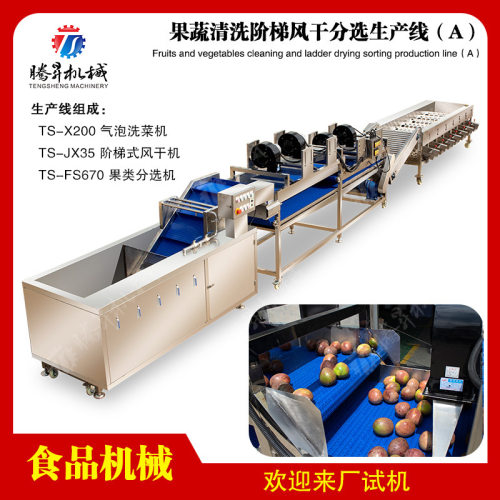 大型厨房设备 果蔬加工生产线 清洗切割果蔬流水线 腾昇机械
