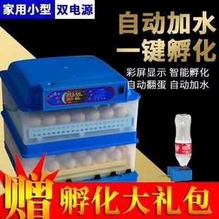 全自动孵化机孵化器家用小型孵蛋器鸡鸭鹅鸽子芦丁鸡小鸡器双电源