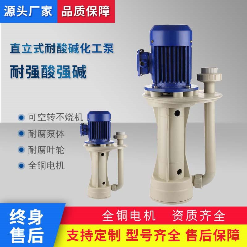 液下泵可空转槽内泵电泳泵FRPP塑料液下泵加长50CN-4塑料泵