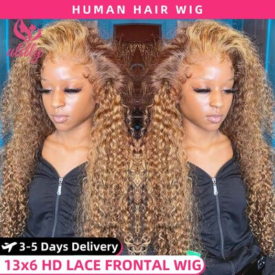 HD 13x6 Highlight Wig Human Hair Honey Blonde Brown Lace Fro