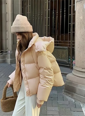 New 2024 Parkas Women Winter Down Cotton Jacket Coat Ladies