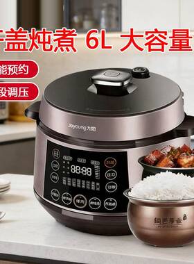 电压力锅60C19家用智能6L大容量双胆全自动电压锅预约彩包礼品