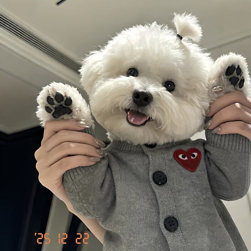 刺绣爱心狗衣小型犬冬季加厚保暖针织开衫外出防掉毛宠物衣服