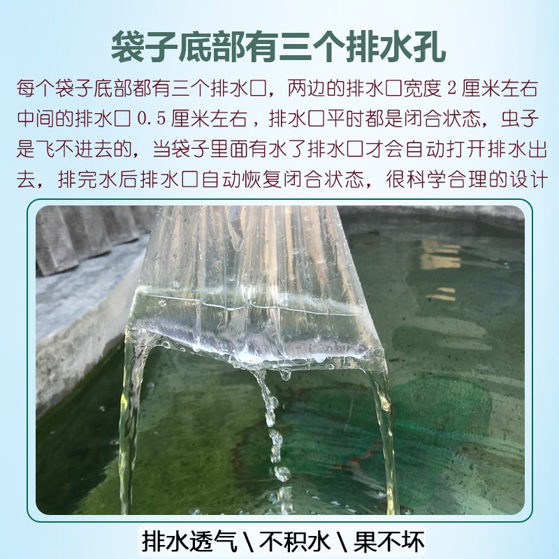 透明芭乐套袋番石榴防虫专用一次性水果果蔬保护袋防虫防水套袋