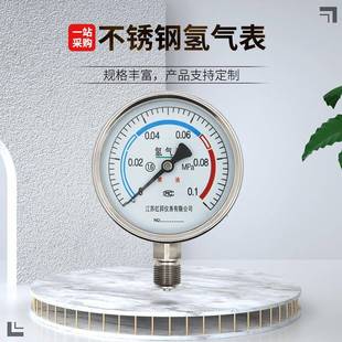150 氢气表不锈钢氢气表YQ