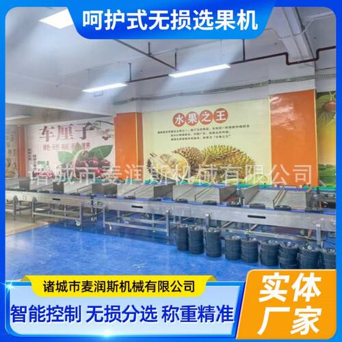 麦润斯机械定制果蔬呵护式无损分选机 哈密瓜选果机 柚子分选机