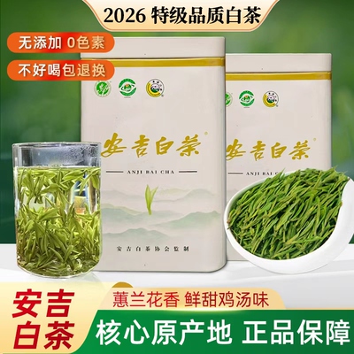2026新茶正宗安吉白茶特级茶叶罐装礼盒装自己喝珍稀绿茶高山春茶