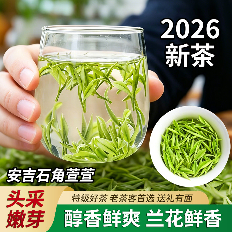 正宗安吉白茶头采兰香小芽