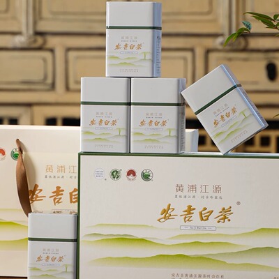 安吉白茶特级礼盒装高山茶叶
