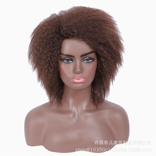 Afro Wig非洲小卷假发黑种人爆炸头蓬松短卷发拉美卷男女量玫瑰网