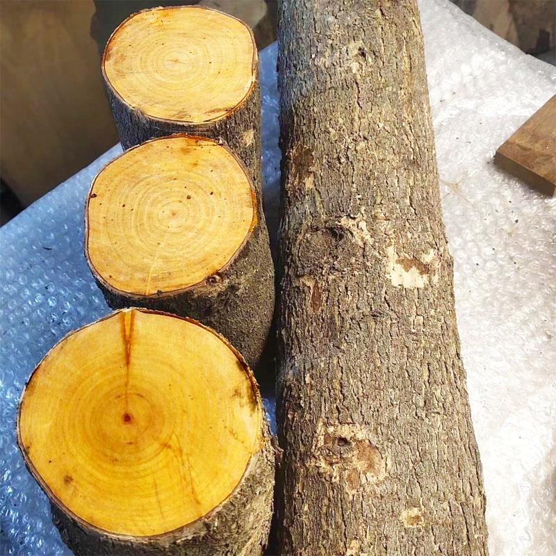 金丝楠木料原木木头diy手工雕刻料笔筒料横财料水烟筒佛珠手串料