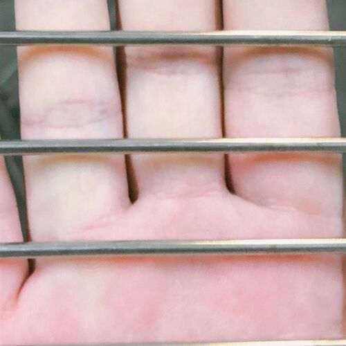 筛网片30钢筋 防盗o网不锈钢网钢丝网加粗焊接钢丝网4网片格防护
