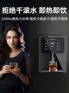 惠尔顿管线壁挂式即热直饮净水加热一体嵌入式饮水