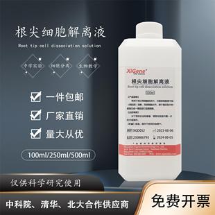 根尖细胞解离液 细胞分离 根尖分生组织细胞有丝分裂实验高中生物