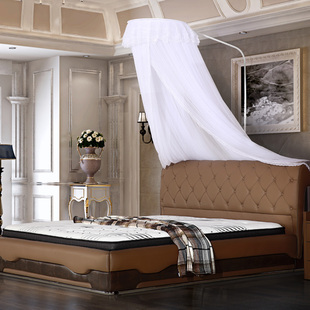 圆顶落地支架蚊帐免安装 新款 15米18m公主伸缩加密双人家用通用